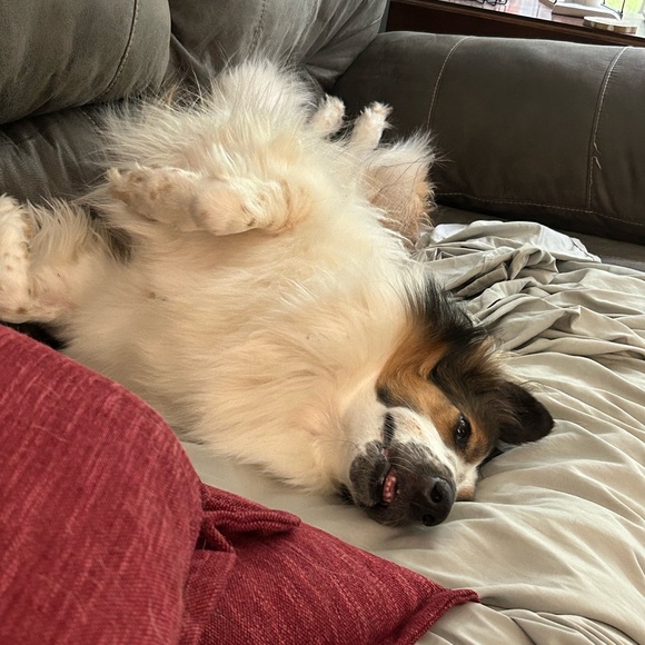 TAG LIST - Picture 4 of 12